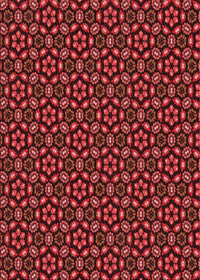 Machine Washable Transitional Red Rug, wshpat2472rd