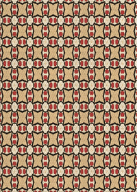 Machine Washable Transitional Red Brown Rug, wshpat2474brn