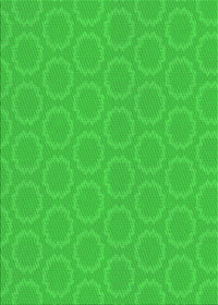 Machine Washable Transitional Lime Green Rug, wshpat2480grn