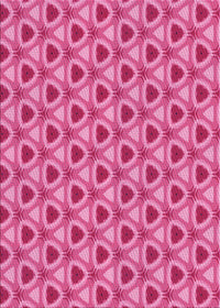 Machine Washable Transitional Raspberry Red Rug, wshpat2483pur