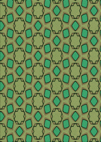 Machine Washable Transitional Green Rug, wshpat2486grn