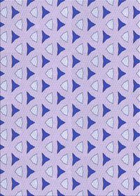 Machine Washable Transitional Purple Rug, wshpat2489blu