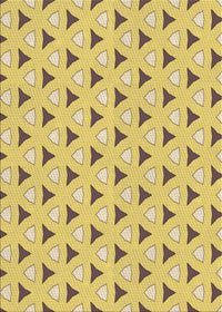 Machine Washable Transitional Bold Yellow Rug, wshpat2489brn