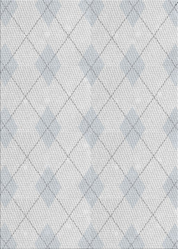 Patterned Dark Gray Novelty Rug, pat248