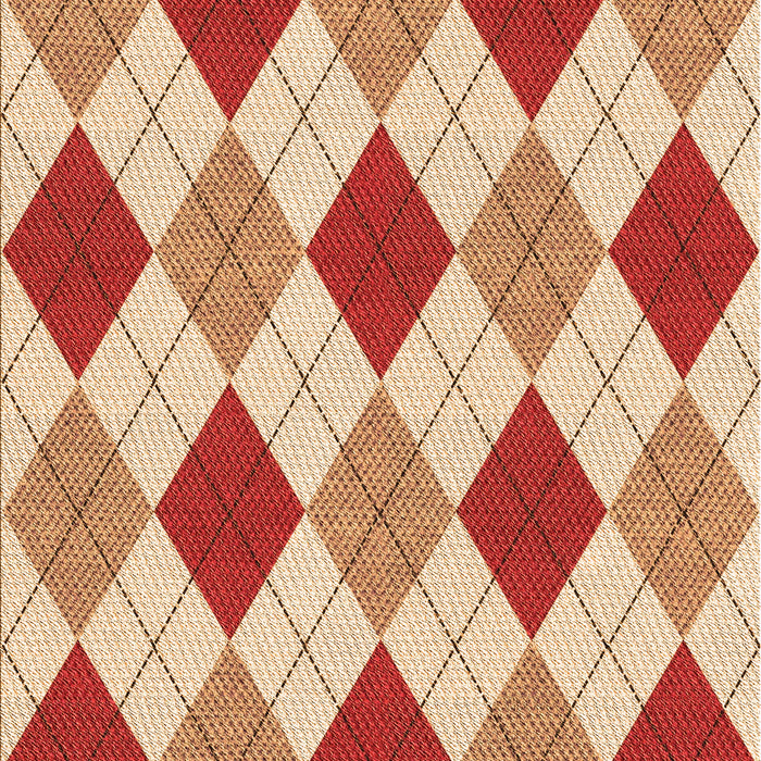 Machine Washable Transitional Red Rug, wshpat249org