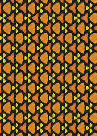 Machine Washable Transitional Orange Rug, wshpat2491