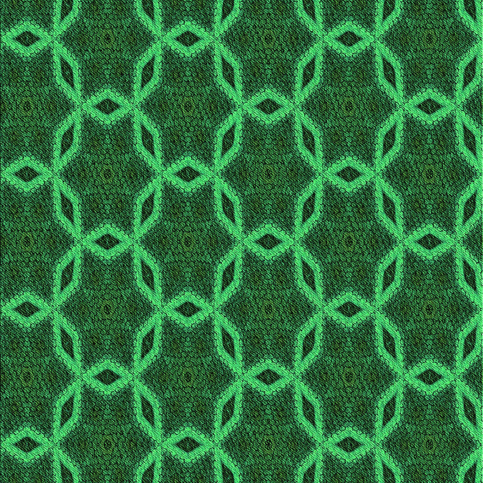 Machine Washable Transitional Deep Emerald Green Rug, wshpat2496grn