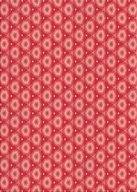 Machine Washable Transitional Red Rug, wshpat2502rd