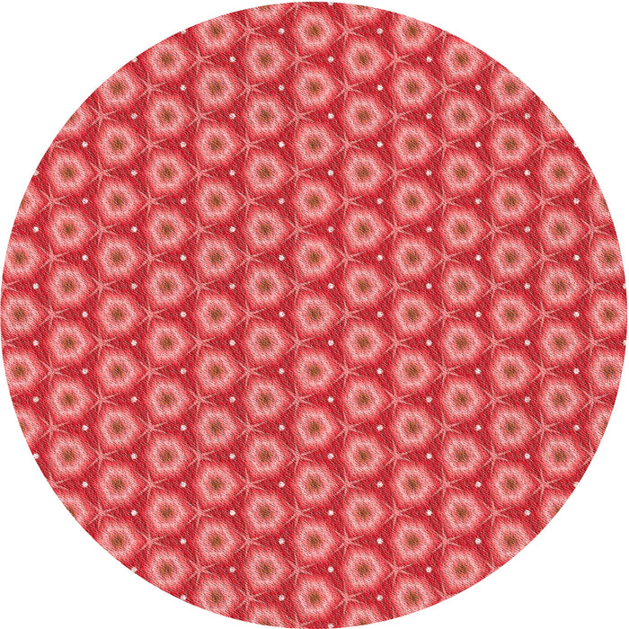 Square Machine Washable Transitional Red Rug in a Living Room, wshpat2502rd