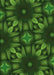 Patterned Dark Lime Green Rug, pat2516grn