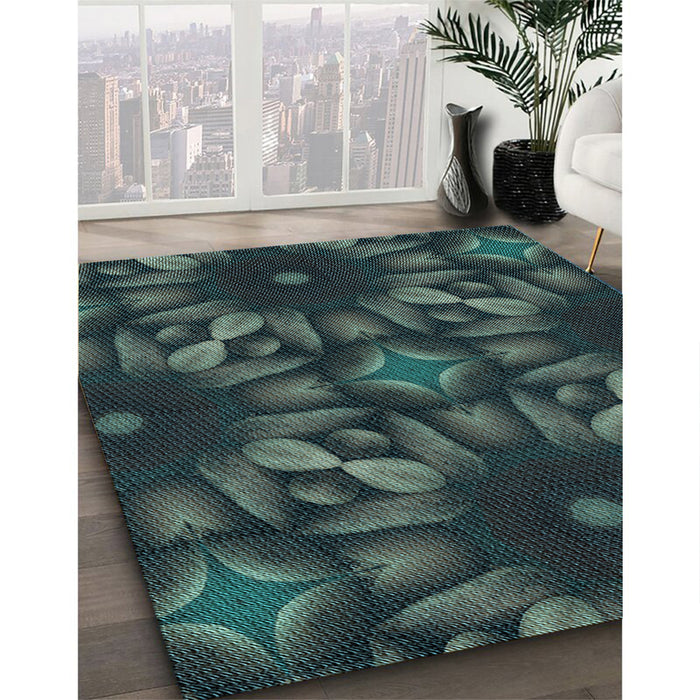 Machine Washable Transitional Dark Slate Grey Green Rug in a Family Room, wshpat2516lblu