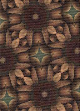 Machine Washable Transitional Black Brown Rug, wshpat2516