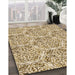 Patterned Khaki Gold Rug in Family Room, pat2517brn