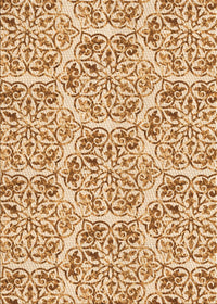 Machine Washable Transitional Brown Gold Rug, wshpat2517org