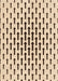 Patterned Light Brown Rug, pat252org