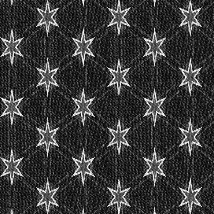 Machine Washable Transitional Black Rug, wshpat2520gry