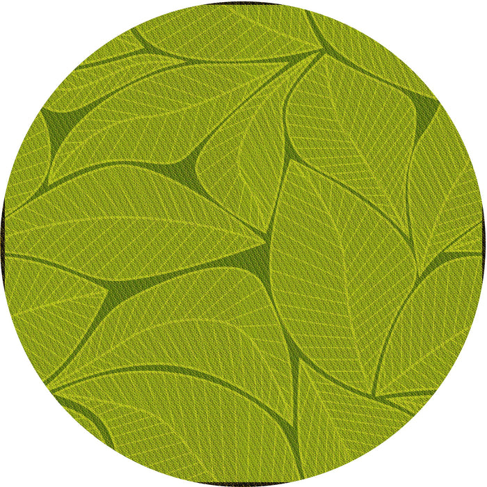 Square Machine Washable Transitional Pistachio Green Rug in a Living Room, wshpat2525yw