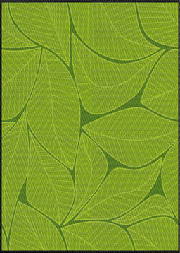 Machine Washable Transitional Seaweed Green Rug, wshpat2525