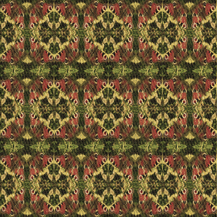 Machine Washable Transitional Night Red Rug, wshpat2526brn