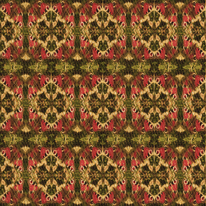 Machine Washable Transitional Sedona Brown Rug, wshpat2526org