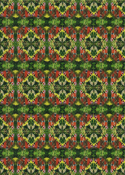 Machine Washable Transitional Night Red Rug, wshpat2526