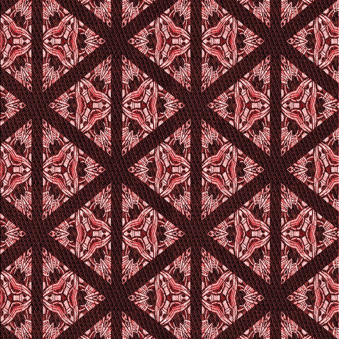 Machine Washable Transitional Indian Red Rug, wshpat2527rd