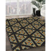 Patterned Black Brown Novelty Rug in Family Room, pat2527