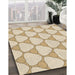 Machine Washable Transitional Peru Brown Rug in a Family Room, wshpat2528brn