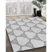 Machine Washable Transitional Platinum Gray Rug in a Family Room, wshpat2528gry