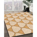 Patterned Golden Blonde Gold Rug in Family Room, pat2528org