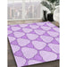 Machine Washable Transitional Purple Rug in a Family Room, wshpat2528pur