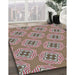Patterned Chestnut Brown Novelty Rug in Family Room, pat2530