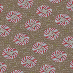 Sideview of Machine Washable Transitional Dark Sienna Brown Rug, wshpat2531