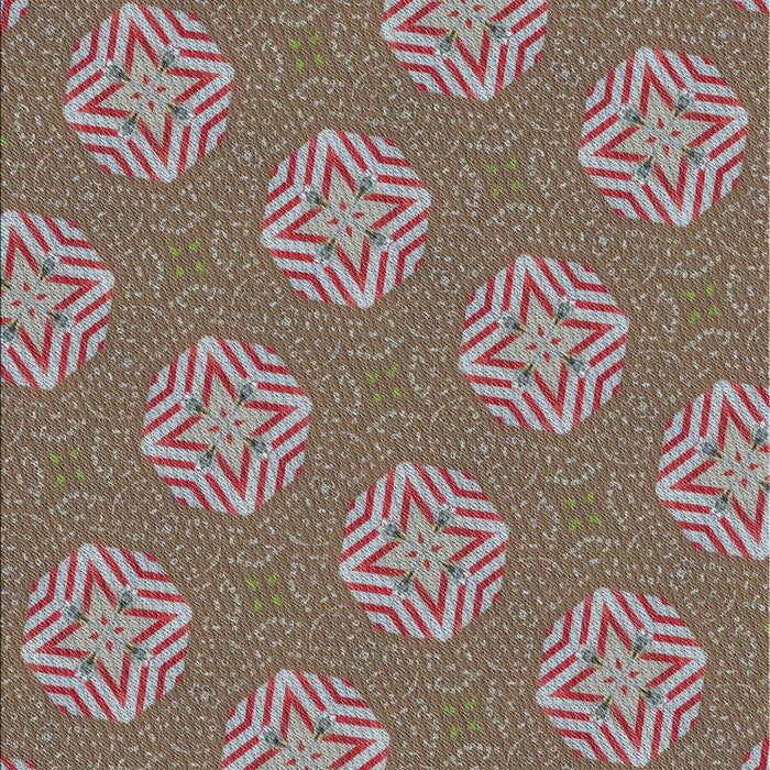 Machine Washable Transitional Dark Sienna Brown Rug, wshpat2531