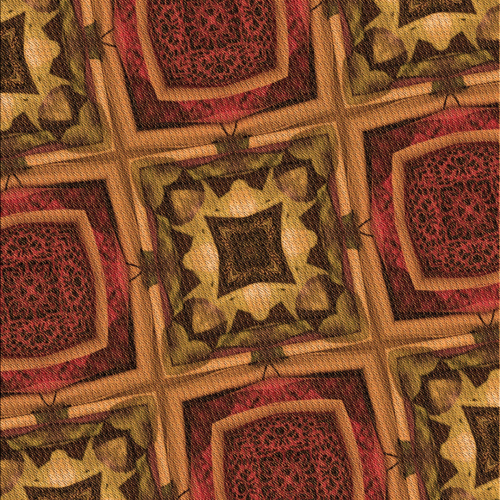 Machine Washable Transitional Saffron Red Rug, wshpat2534org