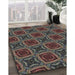 Patterned Mid Gray Novelty Rug in Family Room, pat2535