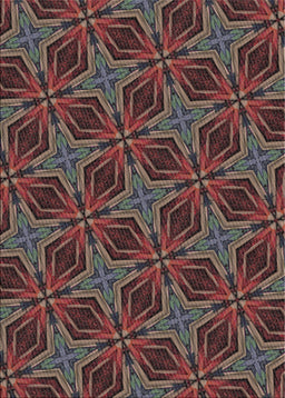 Machine Washable Transitional Night Red Rug, wshpat2536