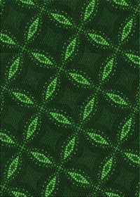 Machine Washable Transitional Green Rug, wshpat2537grn