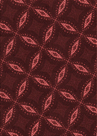 Machine Washable Transitional Fire Brick Red Rug, wshpat2537rd