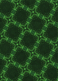 Machine Washable Transitional Green Rug, wshpat2538grn