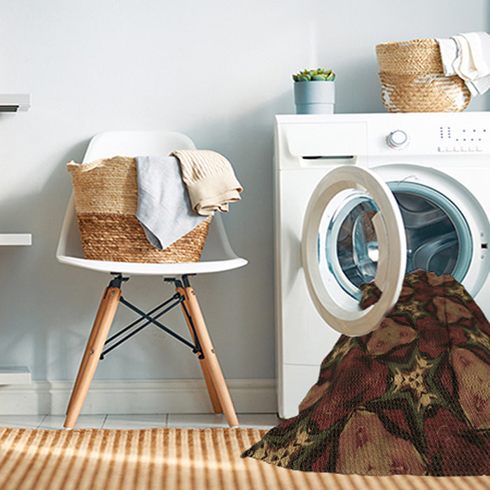 Machine Washable Transitional Light Brown Rug in a Washing Machine, wshpat2539brn
