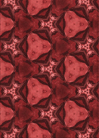 Machine Washable Transitional Cranberry Red Rug, wshpat2539rd