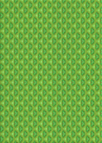 Machine Washable Transitional Dark Lime Green Rug, wshpat2540grn