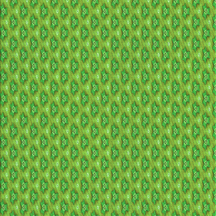 Machine Washable Transitional Dark Lime Green Rug, wshpat2540grn
