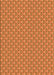 Patterned Orange Rug, pat2540org