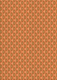 Machine Washable Transitional Orange Rug, wshpat2540org