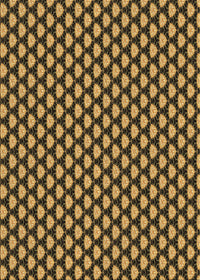 Machine Washable Transitional Yellow Rug, wshpat2541brn