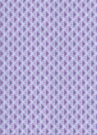 Machine Washable Transitional Purple Rug, wshpat2542blu