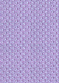 Machine Washable Transitional Lilac Purple Rug, wshpat2544blu