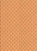 Machine Washable Transitional Neon Orange Rug, wshpat2544org